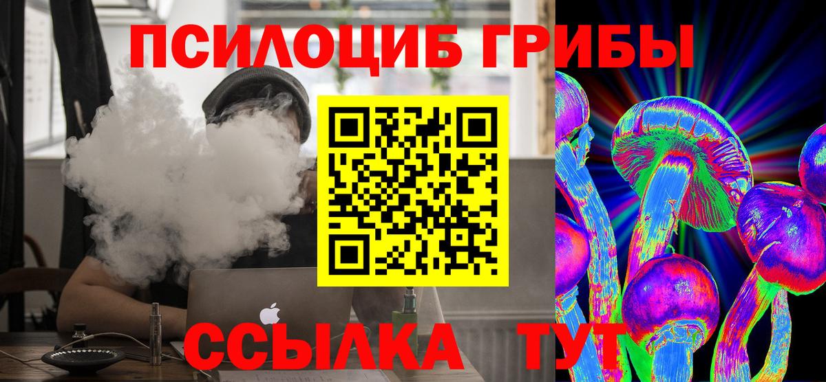Псилоцибиновые грибы Cubensis Урай