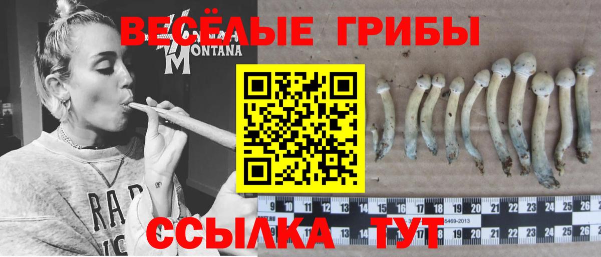 Галлюциногенные грибы мицелий  Вход с VPN  Урай 